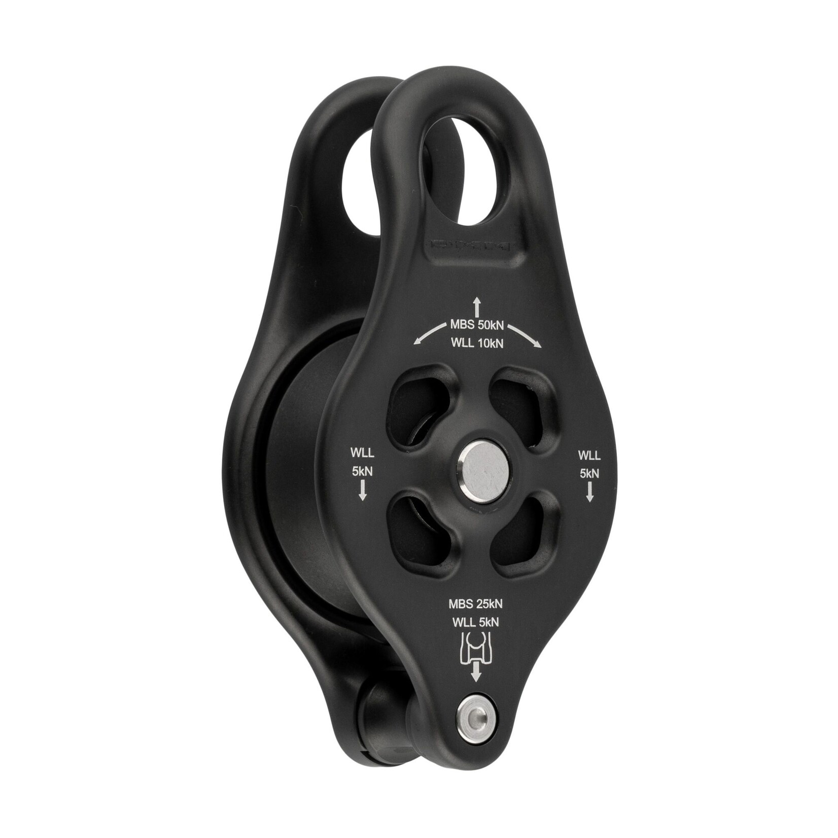 DMM Pinto Rig 2