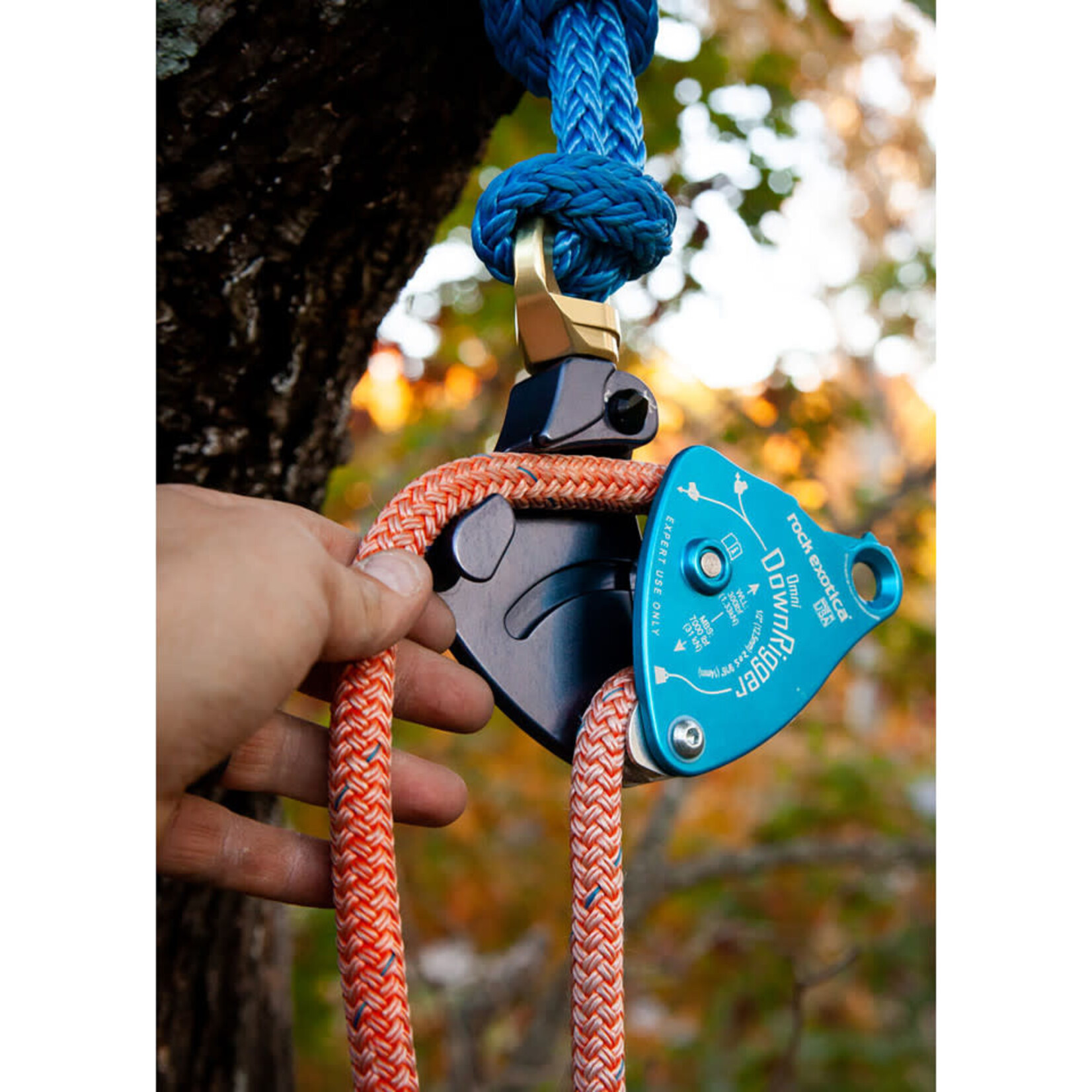 Rock Exotica downRigger by Rock Exotica
