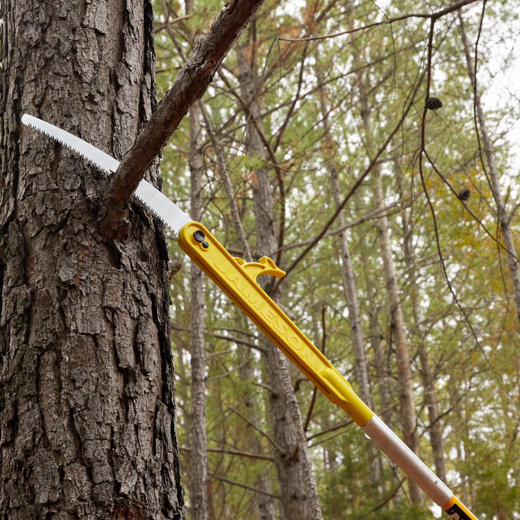 Jameson Jameson Folding Pole Saw with Tri-Cut Blade