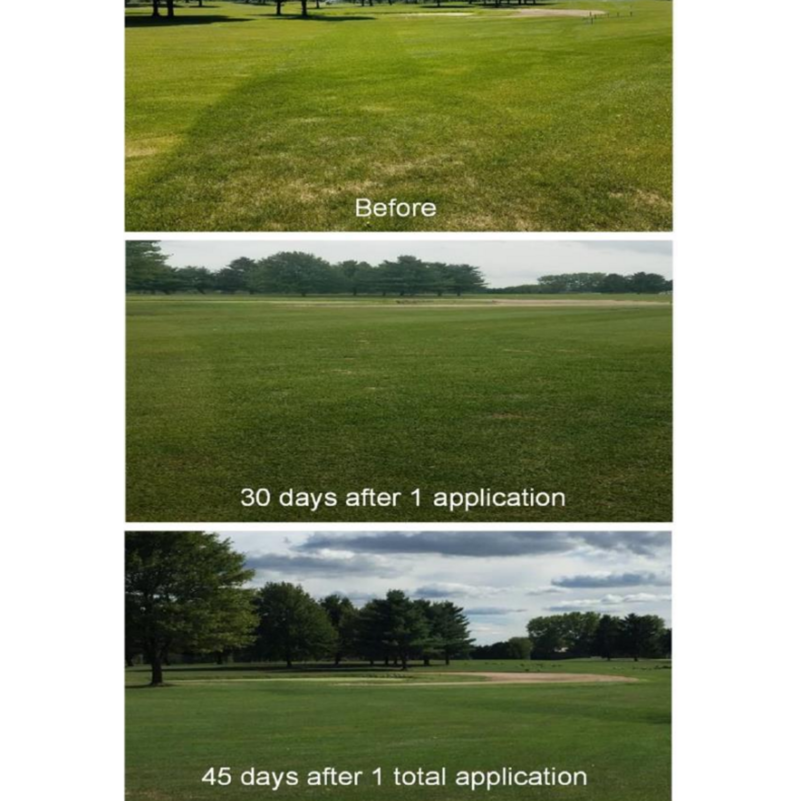 Mauget Revive 100% Organic Micronized BioChar Suspension 2.5 Gal Jug