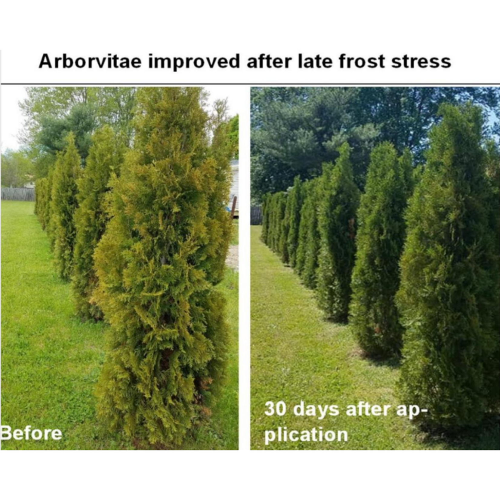 Mauget Revive 100% Organic Micronized BioChar Suspension 2.5 Gal Jug