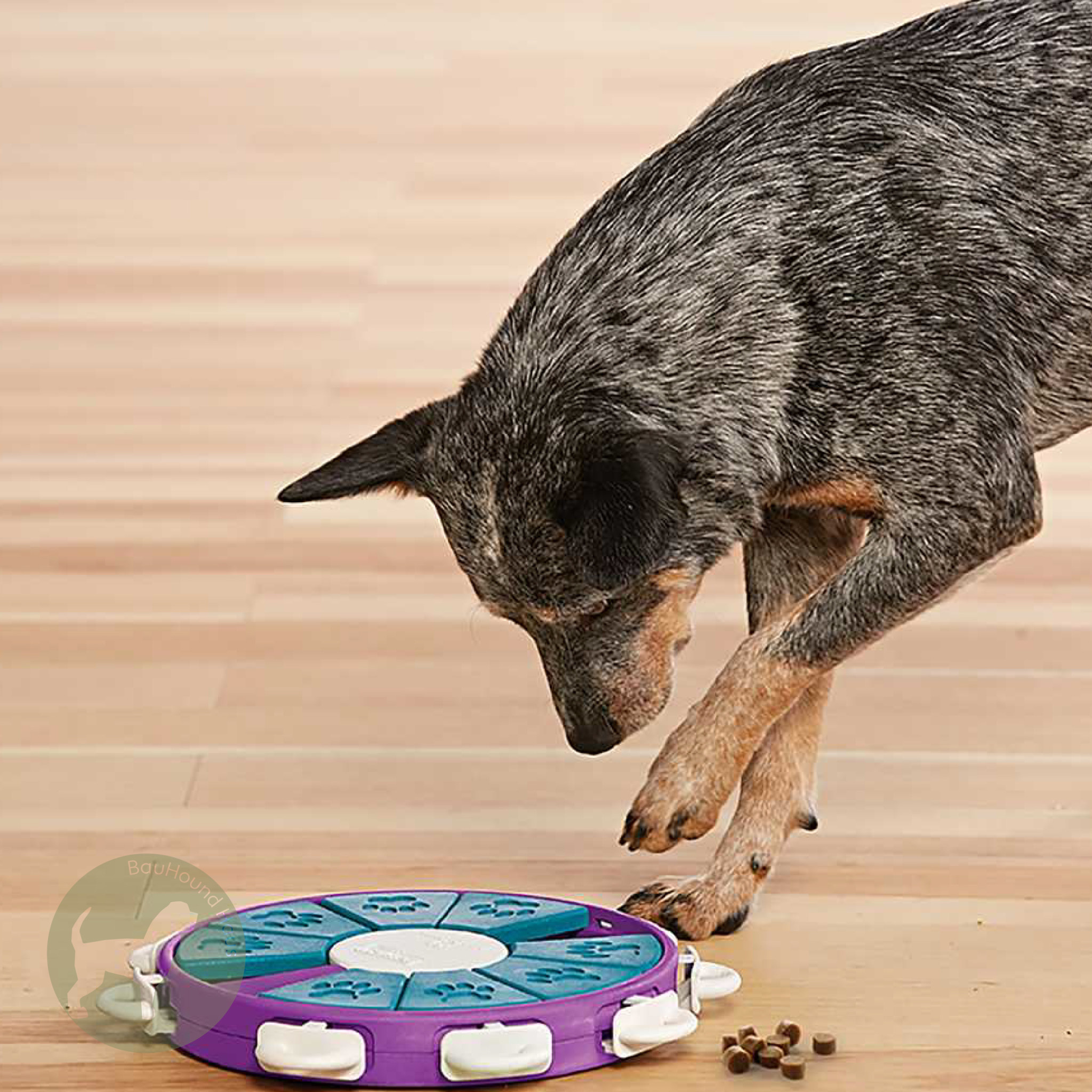 Outward Hound Outward Hound Nina Ottosson Dog Twister Puzzle