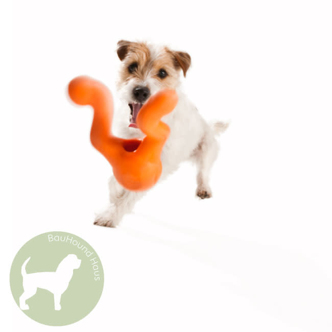 West Paw Designs West Paw Tizzi