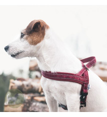 Hurtta Hurtta Casual Padded Harness