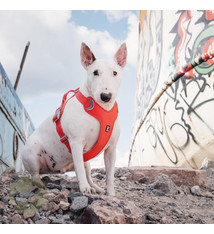 Hurtta Hurtta Weekend Warrior Eco Harness