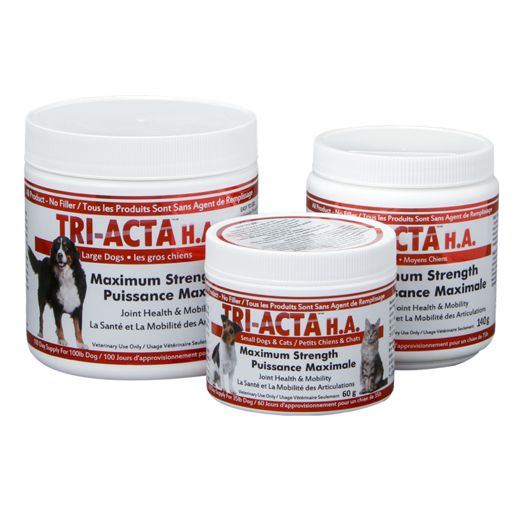 Integracare Tri-Acta H.A Maximum Strength Joint Supplement, 140g