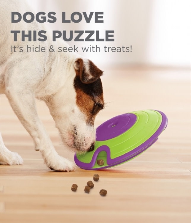 Outward Hound Outward Hound Nina Ottosson Dog Treat Maze Puzzle