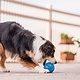 Planet Dog Planet Dog Orbee-Tuff Guru Treat Ball