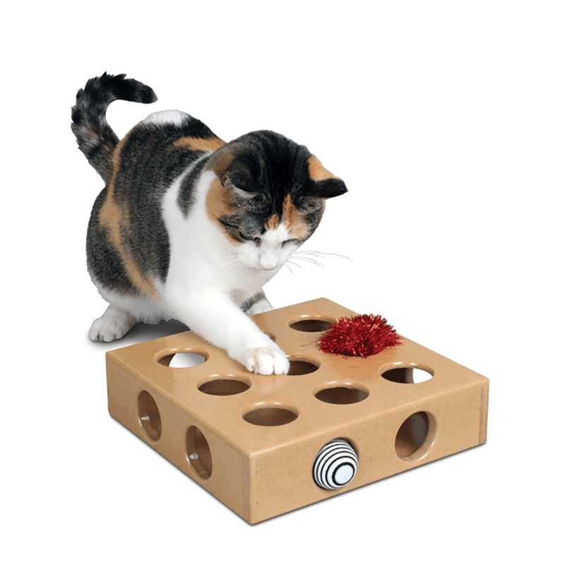 Smart Cat Smart Cat Peek-A-Prize Toy Box, Large