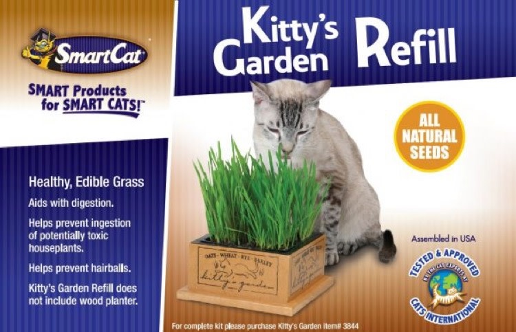Smart Cat Pioneer Pet Smart Cat Kitty Garden Refill