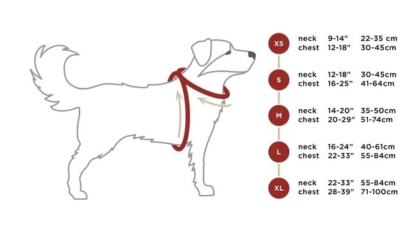 Rocky Mountain Dog Rocky Mountain Dog Kootenay All-Terriain Harness