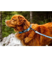 Rocky Mountain Dog Rocky Mountain Dog Alpine Collar