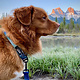 Rocky Mountain Dog Rocky Mountain Dog Alpine Collar