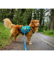 Rocky Mountain Dog Rocky Mountain Dog Backpack