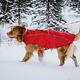 Rocky Mountain Dog Rocky Mountain Dog Winter Jacket