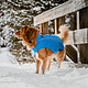 Rocky Mountain Dog Rocky Mountain Dog Winter Jacket