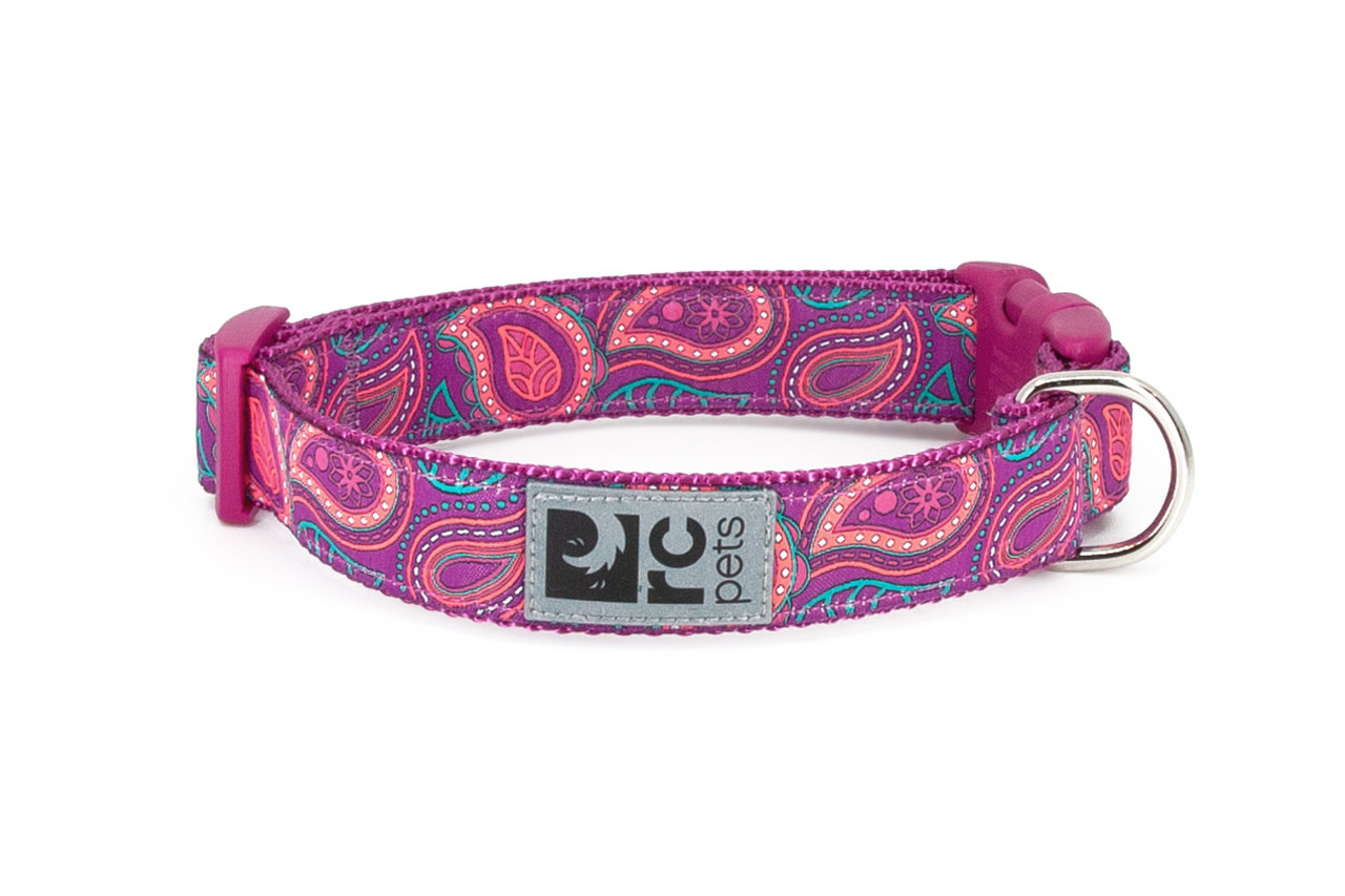 RC Pets RC Pets Collar X-Small