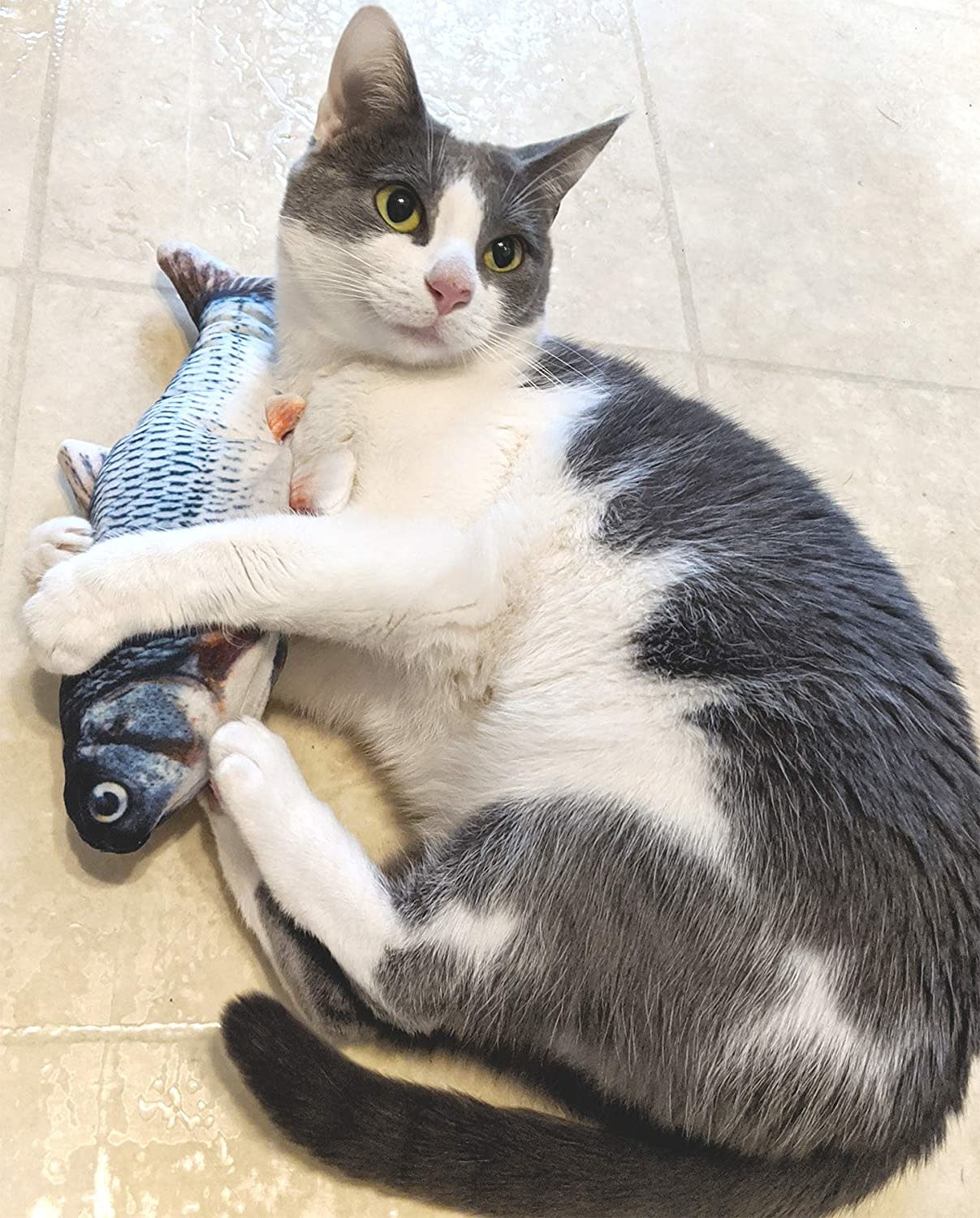 Ethical Pet Products Ethical Pet Spot Flippin Fish Cat Toy