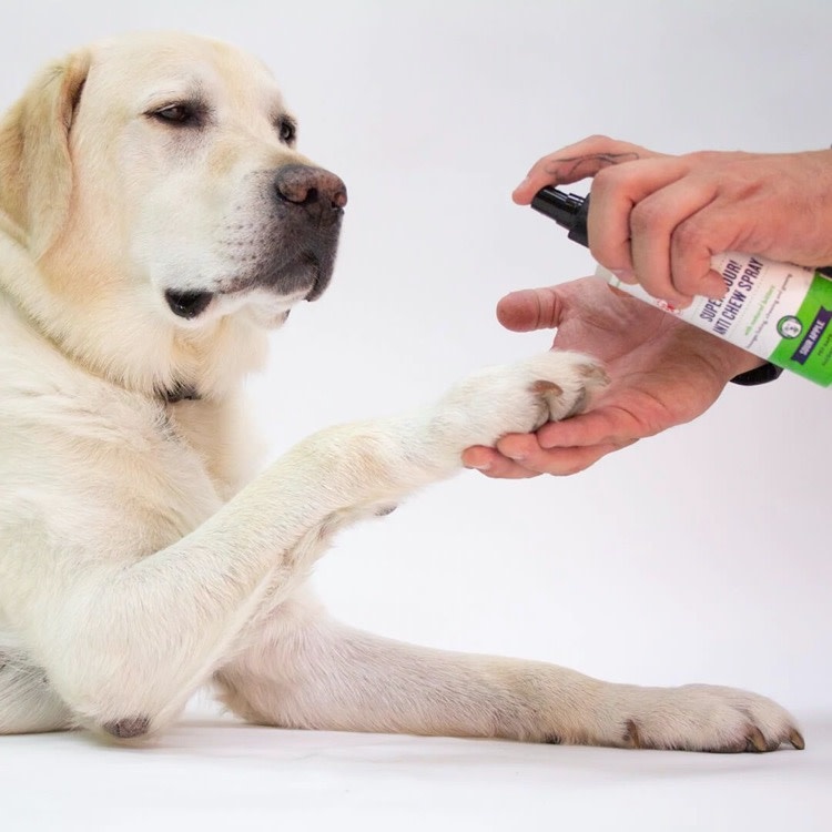 Skout's Honor Skout's Honor Super Sour Anti Chew Spray