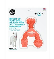 Tasty Bone Tasty Bone I Am Cinnamon Mint Dental Trio Dog Toy, Small