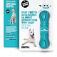 Tasty Bone Tasty Bone I AM Peppermint Dental Bone Dog Toy, Small