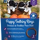 NPIC NPIC Puppy Teething Ring Pumpkin, 3-pack