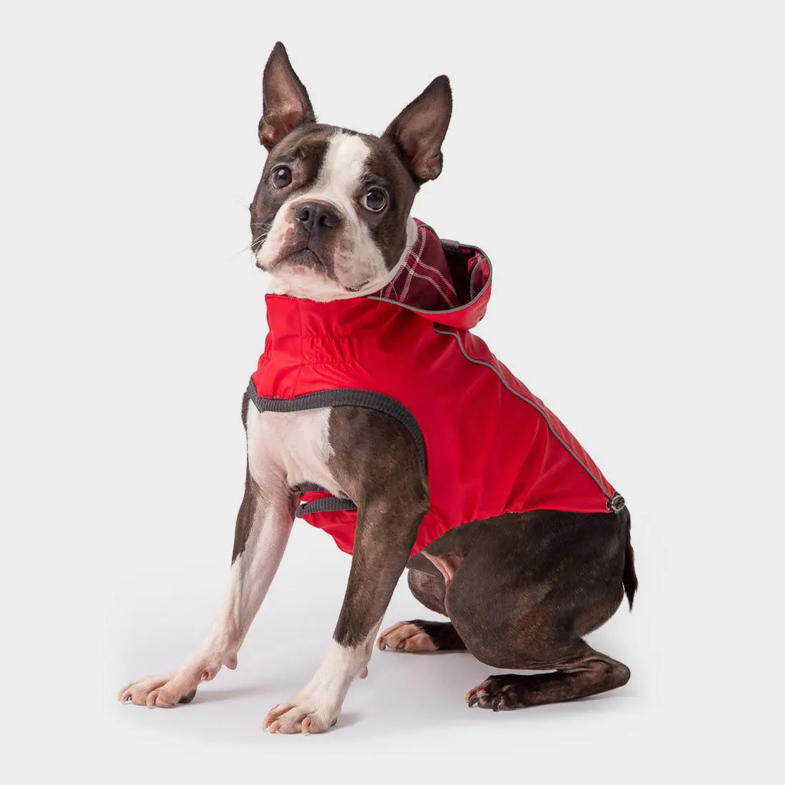 GF Pet GF Pet Reversable Raincoat