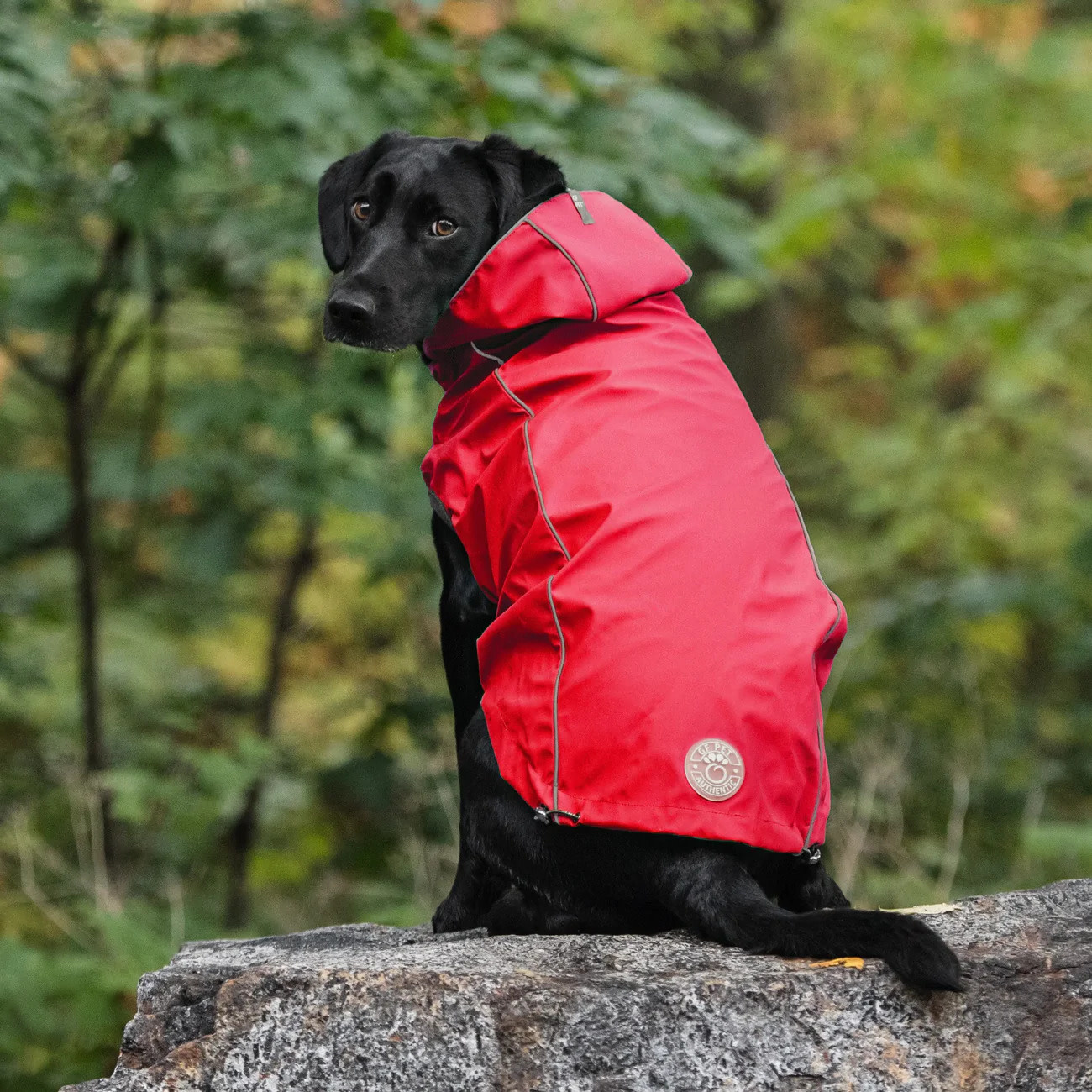 GF Pet GF Pet Reversable Raincoat