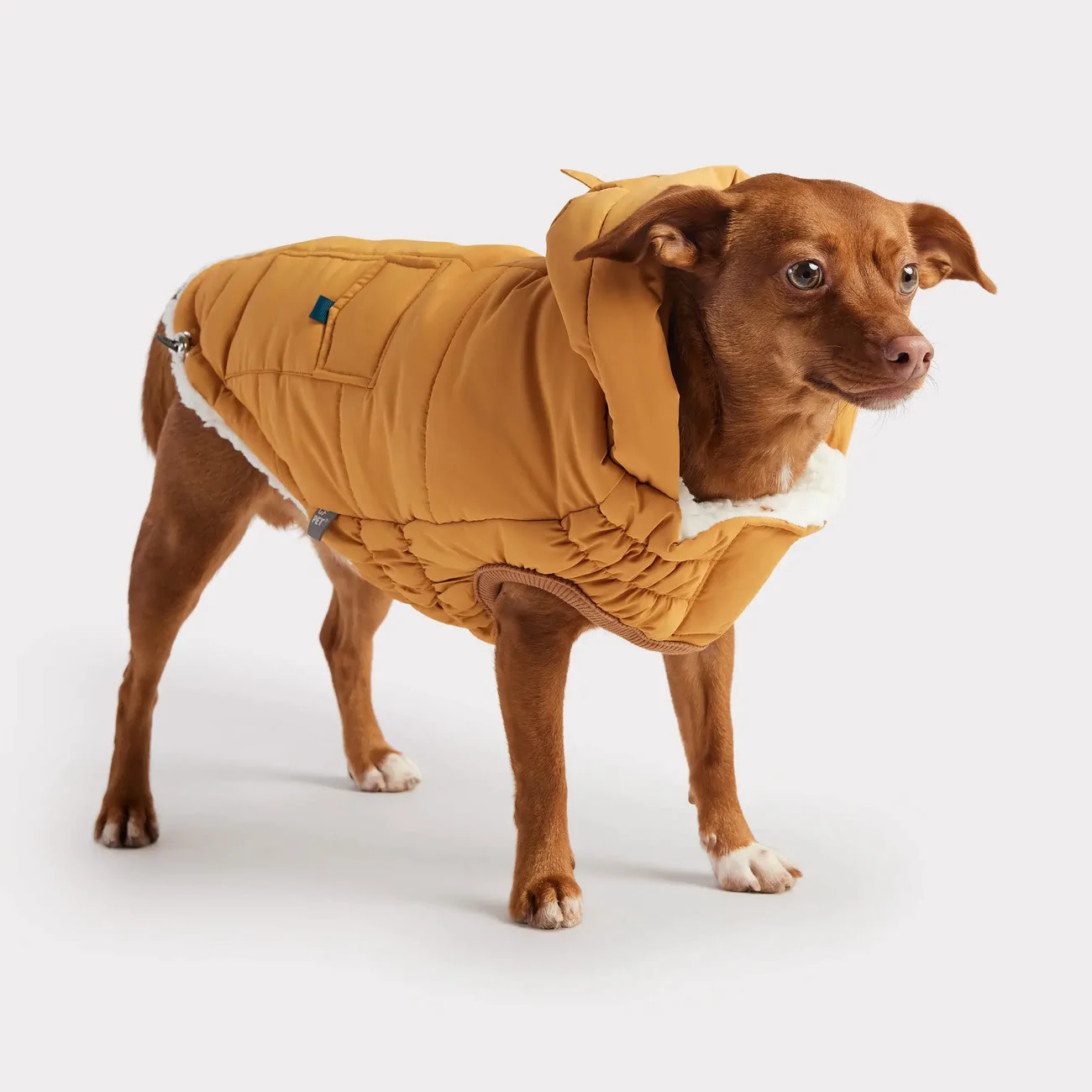 GF Pet GF Pet Super Puff Parka