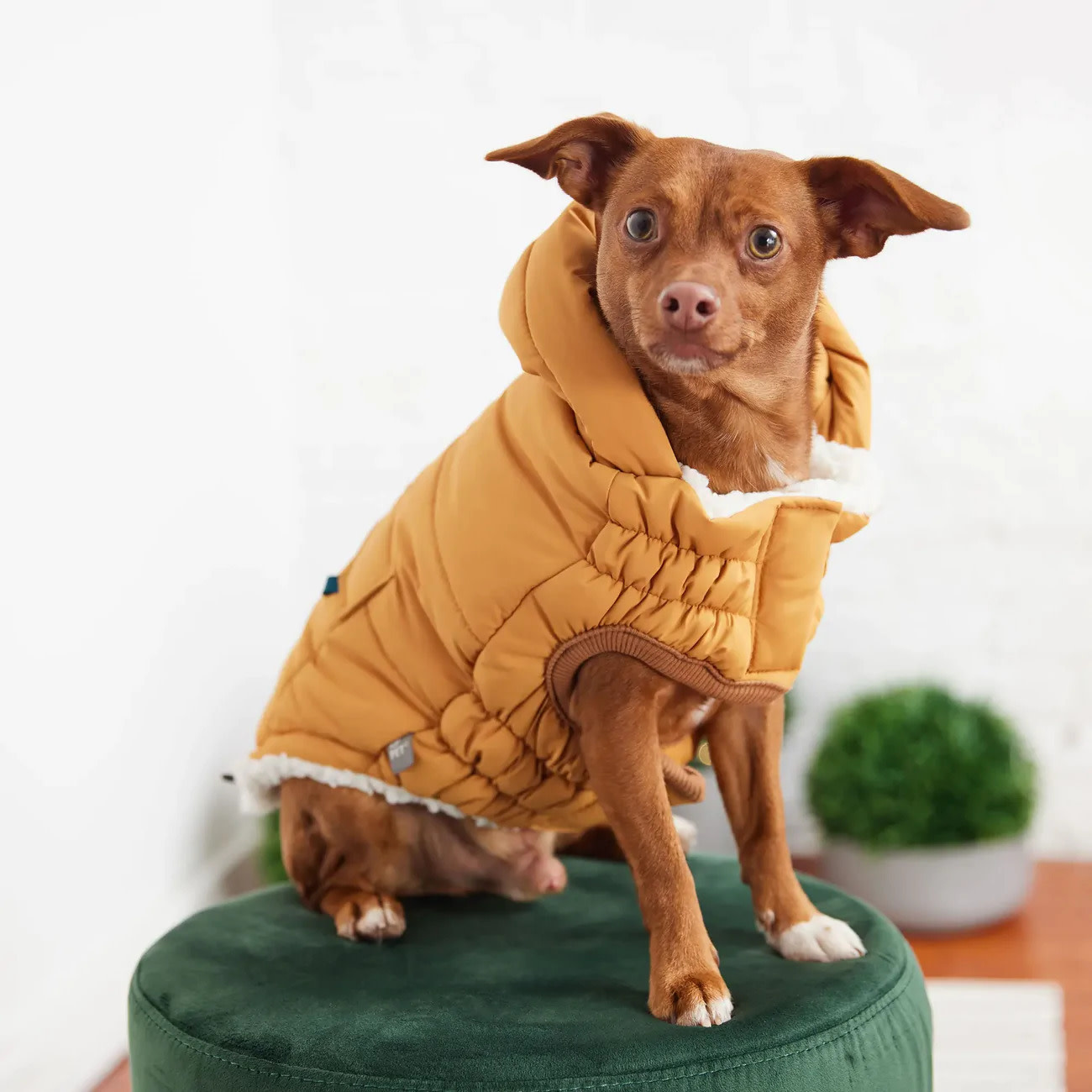 GF Pet GF Pet Super Puff Parka