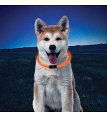 Nite Ize Nite Ize Nite Howl Collar, Orange