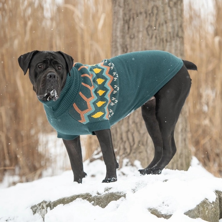 GF Pet GF Pet Heritage Sweater