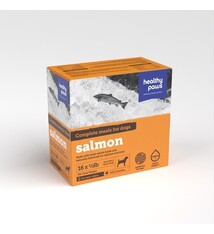 Healthy Paws Healthy Paws Canine Salmon Complete Patties RAW, 8lb