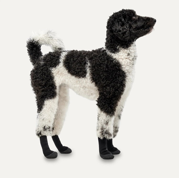 Goo-eez Goo-eez Lites Dog Boots 4-Pack