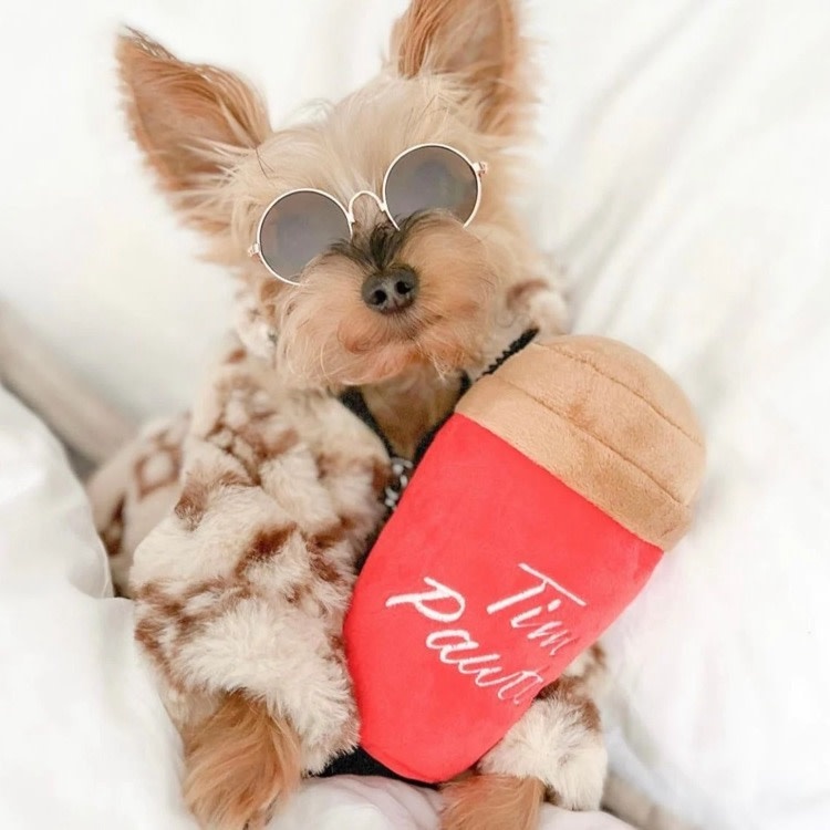 Pawty Animals Pawty Animals Eco Friendly Tim Pawtons Dog Toy