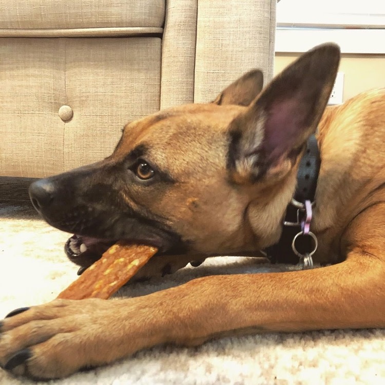 Whimzees Whimzees Veggie Strip, Medium