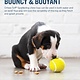 Planet Dog Planet Dog Orbee-Tuff Sport Tennis Ball