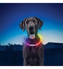 Nite Ize Nite Ize Nite Howl Collar RECHARGEABLE, Disco