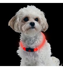Nite Ize Nite Ize Nite Howl Collar, Red