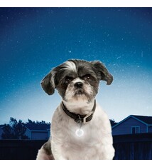 Nite Ize Nite Ize Pet Lit