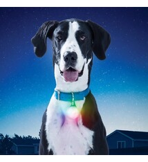 NiteIze Nite Ize SPOT LIT Pet Light RECHARGEABLE Multi-Colour X-Large