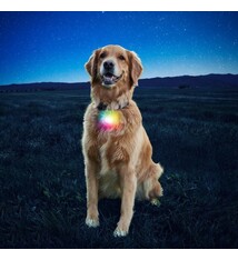 NiteIze Nite Ize SPOT LIT Pet Light