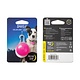NiteIze Nite Ize SPOT LIT Pet Light