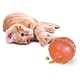 Omega Paw Omega Paw Tricky Treat Ball Cat Toy
