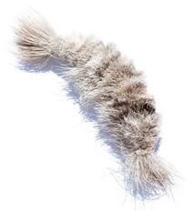 Cat Lures Cat Lures Big Cat Lure Natural Shrimp