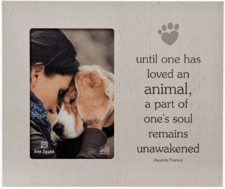 Dog Speak Dog Speak Vertical Picture Frame Until One Has Loved An Animal