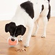 Outward Hound Outward Hound Nina Ottosson Topsy Treat Ball Puzzle