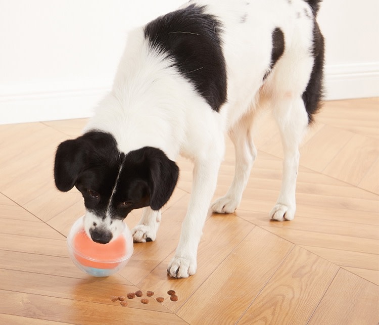 Outward Hound Outward Hound Nina Ottosson Topsy Treat Ball Puzzle