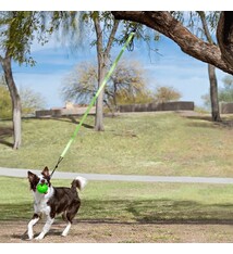 Jolly Pets Jolly Pets Tree Tugger