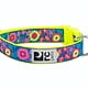 RC Pets RC Pets Clip Collar Small